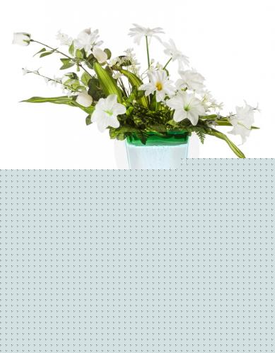 Producto-39